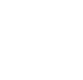 International Compliance